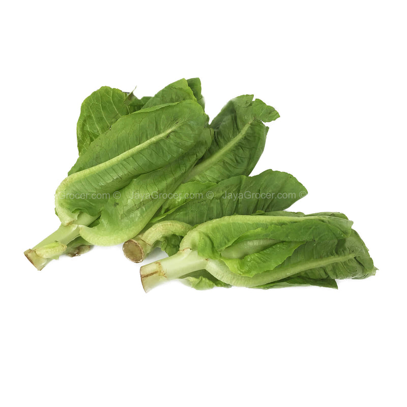 Summer Harvest Bambi Lettuce (Malaysia) 200g