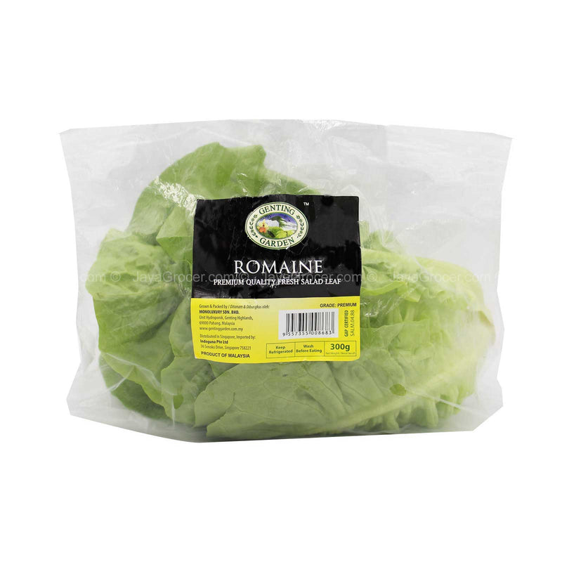 Genting Garden Romaine Lettuce (Malaysia) 300g