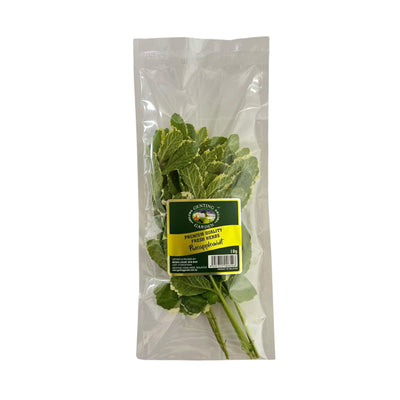 Genting Garden Pineapple Mint Leaves 10g