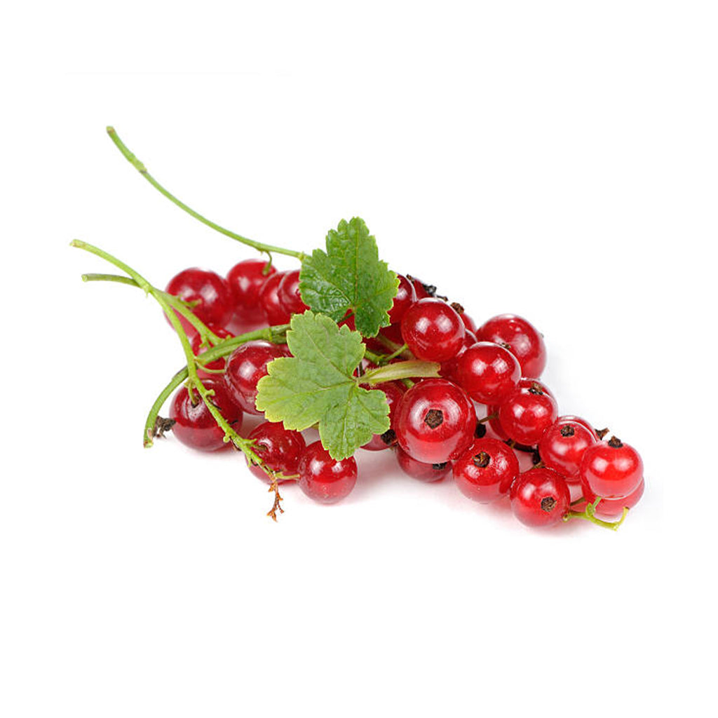 Red Currant (Netherland) 125g