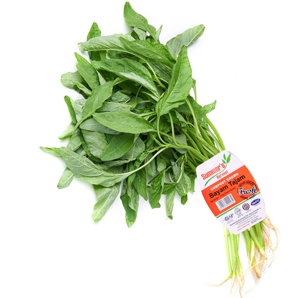 Summer Harvest Sharp Spinach (Bayam Tajam) 250g (highest price)