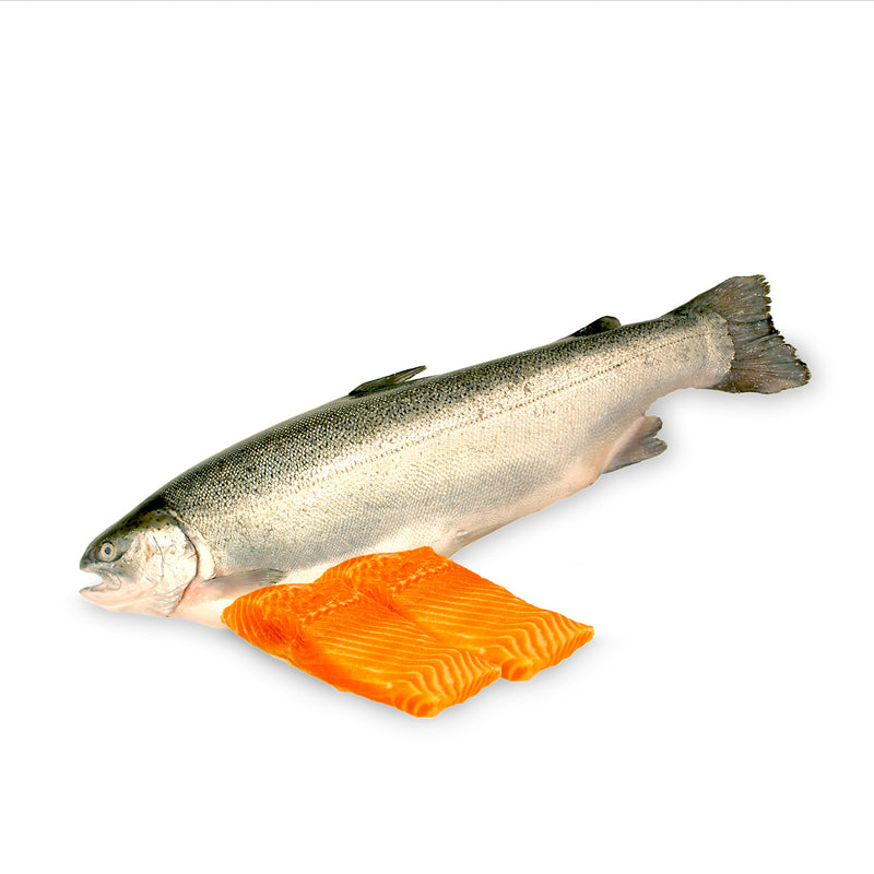 Chilled Norwegian Fjord Trout Fillet 200g+/-