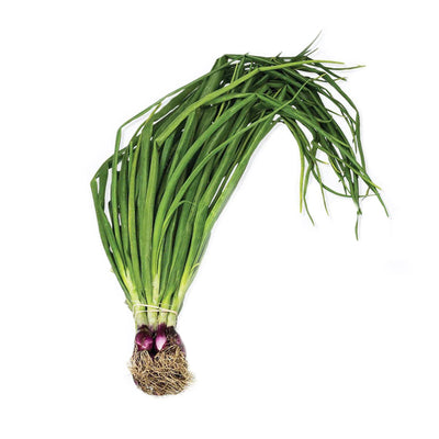Cameron Garden Spring Onion (Daun Bawang)(Malaysia) 80g