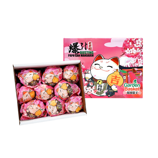 Papa Gan Orange Gift Box 2kg