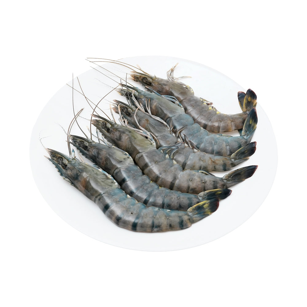 Tiger Prawn/ Udang Harimau XL 300g