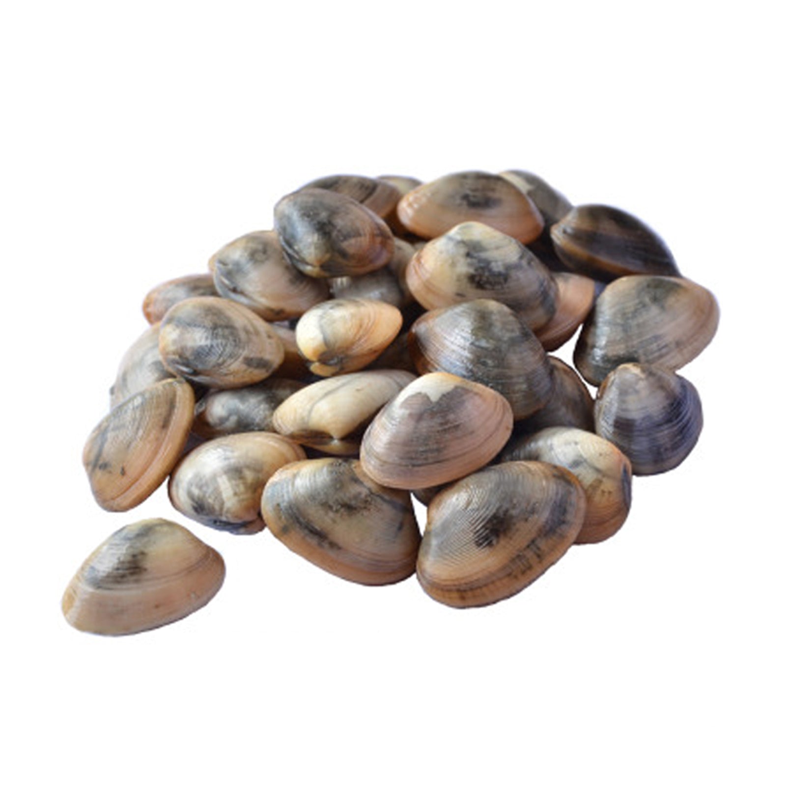 Kepah 500g/pack