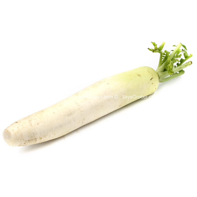 White Radish (Lobak Putih)