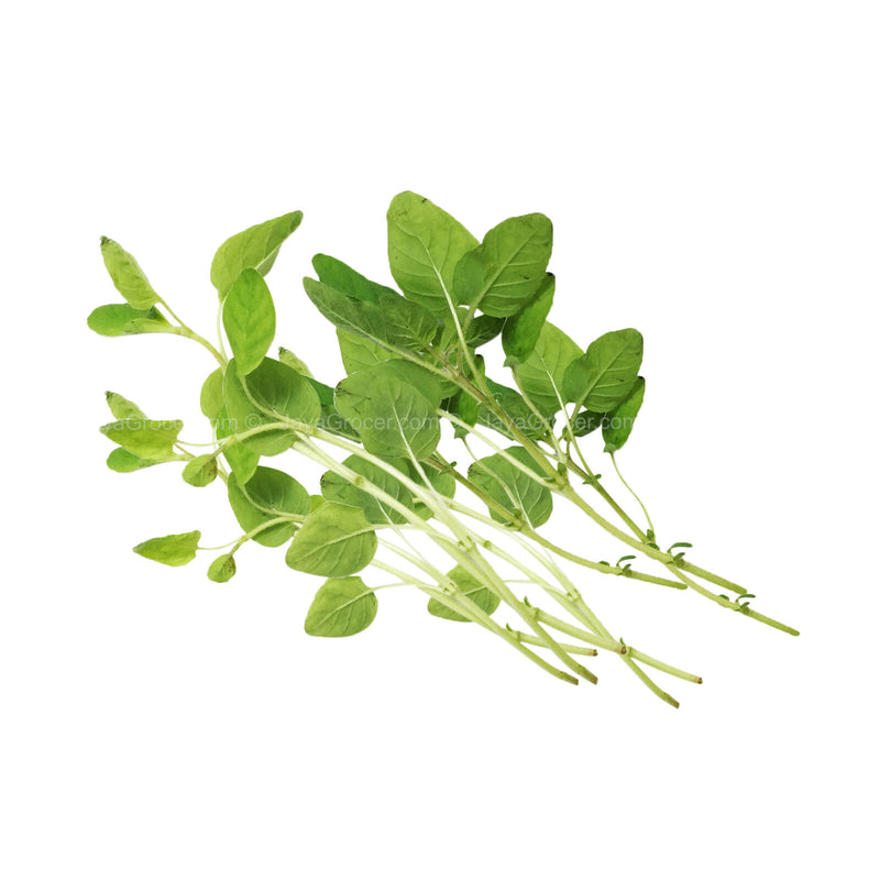 Genting Garden Oregano Leaves (Malaysia) 10g