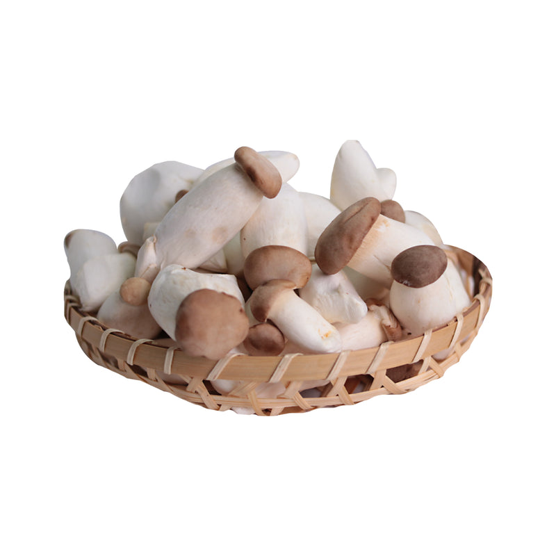 Mini Eryngii Mushroom (China) 250g