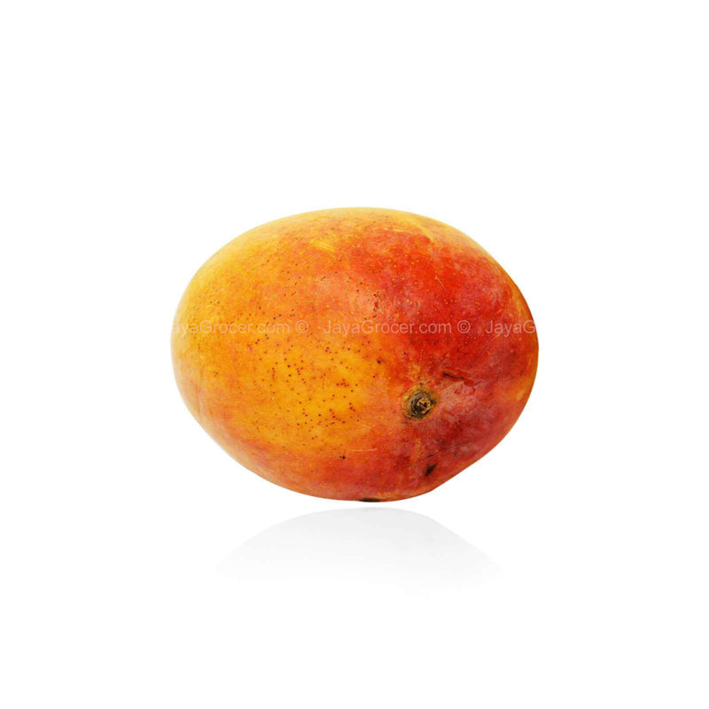 R2E2 Mango (Thailand) 1kg